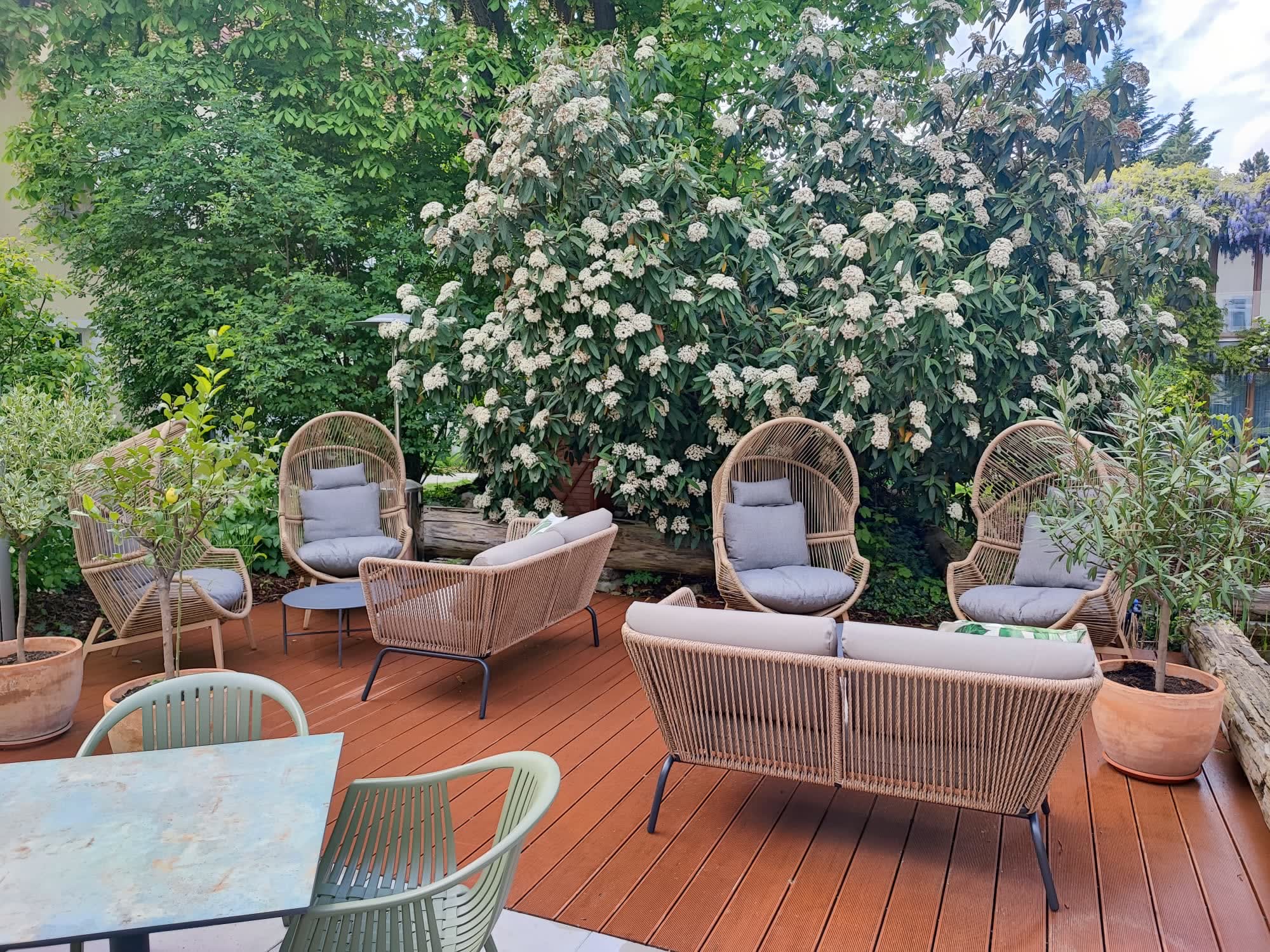 Terrasse mit Rattansesseln unter dem blühenden Baum